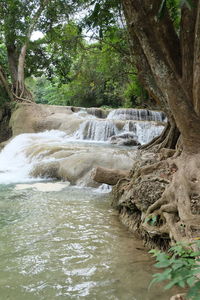 Scenic view of waterfall in forest