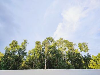 Low angle view of trees on field against sky