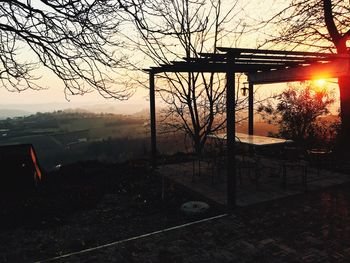 Bare trees on landscape at sunset