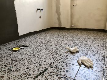 High angle view of white duck floating on floor at home