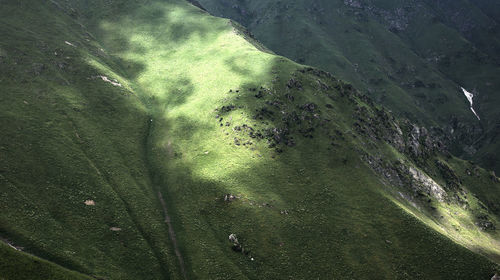 High angle view of trees on land