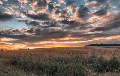 Scenic view of field against sky during sunset