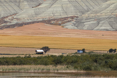 Scenic view of field