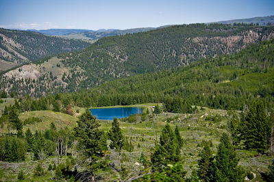 Scenic view of lake in forest against sky