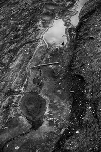 High angle view of swimming in sea