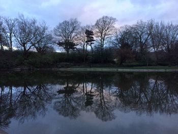 Reflection of trees in lake