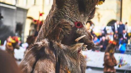 Close-up of a kurent, a traditional attire worn for a carnival in slovenia