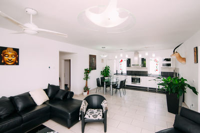 Potted plants on sofa at home