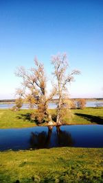 Scenic view of lake against clear blue sky