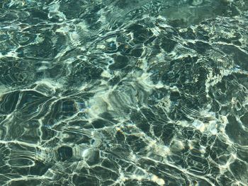 High angle view of rippled water in swimming pool