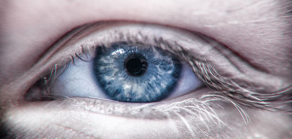 Detail shot of human eye