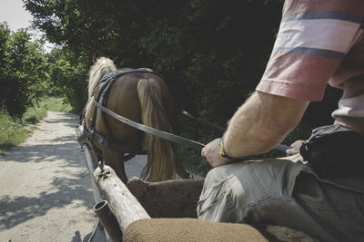 Midsection of man riding horse cart on road