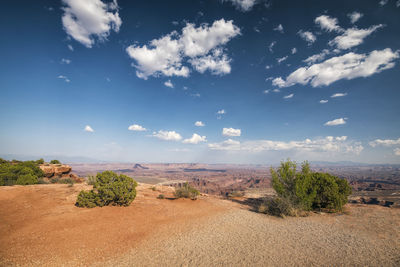 Landscape at canyonlands national park, utah