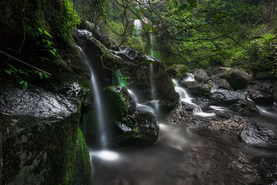 Scenic view of waterfall in forest