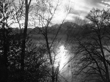 Low angle view of silhouette bare trees against sky