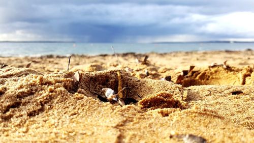 Surface level of sand on beach against sky