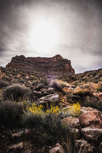 Scenic view of rocks on field against sky