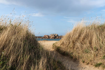 Entrance to the beach on the island of renote in brittany, tregastel, france