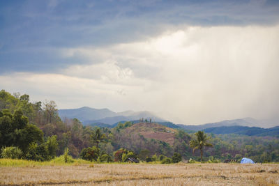 Scenic view of field against sky