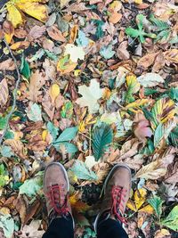 Low section of person standing on dry leaves