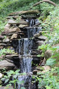 Close-up of water flowing through rocks in forest