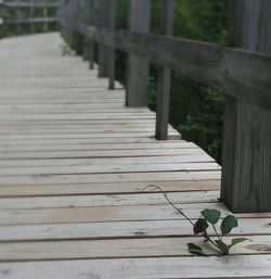 Close-up of wooden boardwalk