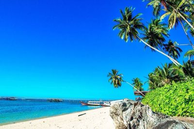 Scenic view of beach against clear sky