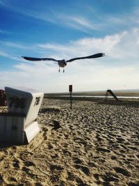 Seagulls flying over beach against sky