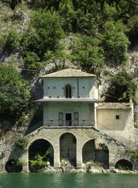 Reflection of trees in water