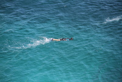 High angle view of scuba diver swimming on sea