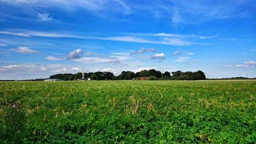 Scenic view of field against cloudy sky