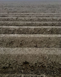 Full frame shot of agricultural field