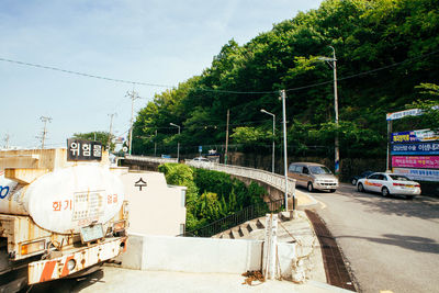 Cars on road amidst trees against sky