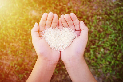 Cropped hands of child holding rice over grassy field