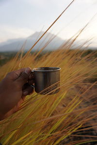 Cropped image of hand holding coffee cup against sky