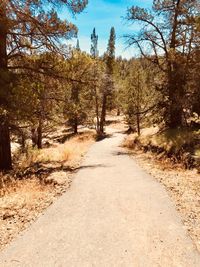 Road amidst trees in forest against sky