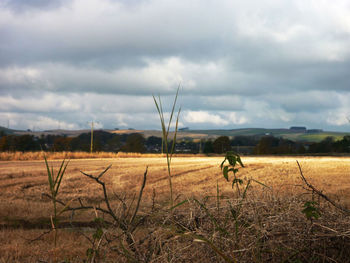 Scenic view of landscape against cloudy sky