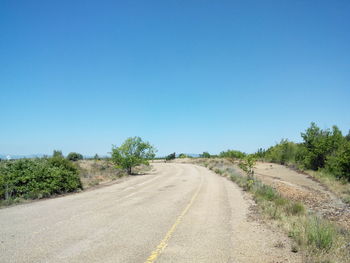 Empty road along trees