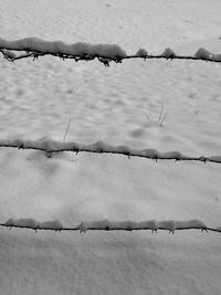fence