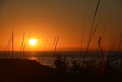 Silhouette plants by sea against romantic sky at sunset