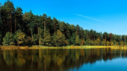 Scenic view of lake in forest against blue sky