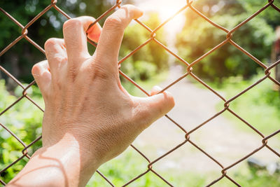 Cropped image of hand holding chainlink fence