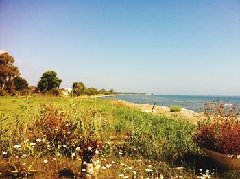 Scenic view of sea against clear sky