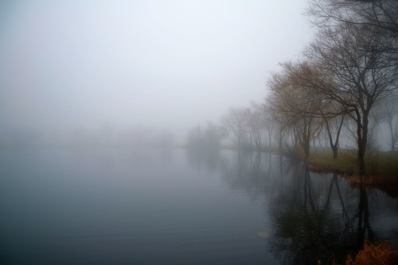 water, tranquility, tranquil scene, fog, lake, tree, scenics, reflection, beauty in nature, waterfront, foggy, weather, nature, bare tree, sky, copy space, river, idyllic, winter