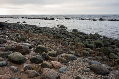 Rocks on beach against sky