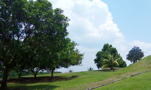 Trees on field against cloudy sky