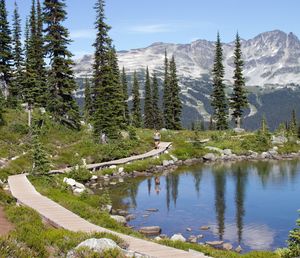 Scenic view of lake by trees against sky