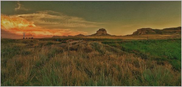 Scenic view of grassy field against sky at sunset