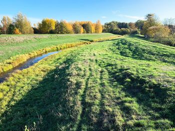 Scenic view of field against sky