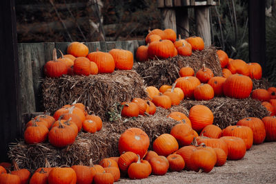 Close-up of pumpkins in farm